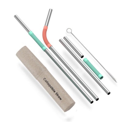 Reusable Metal and Silicone facile  Straw with Cleaning Brush and Case